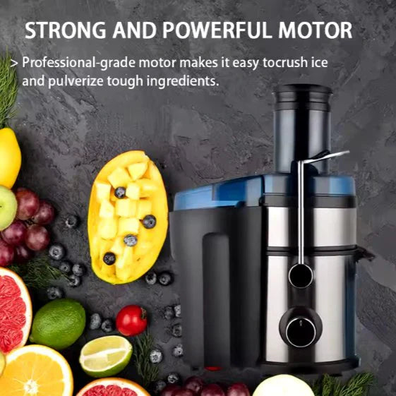 5-in-1 Juicer & Blender ©